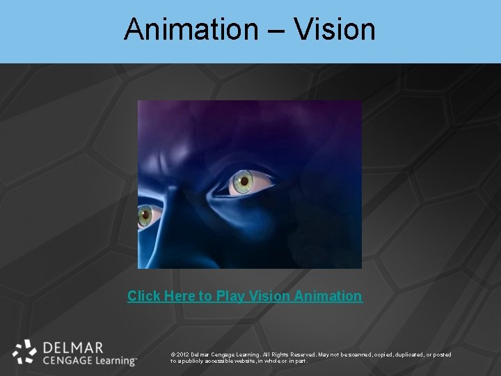 Animation – Vision Click Here to Play Vision Animation © 2012 Delmar Cengage Learning.