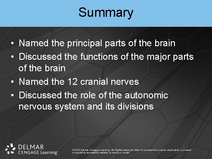 Summary • Named the principal parts of the brain • Discussed the functions of