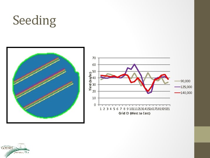 Seeding 70 Yield (bu/ac) 60 50 40 90, 000 30 125, 000 20 140,