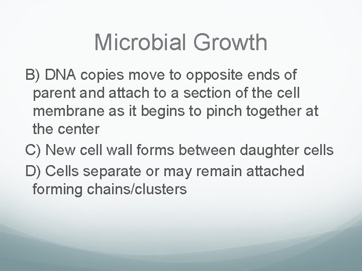 Microbial Growth B) DNA copies move to opposite ends of parent and attach to