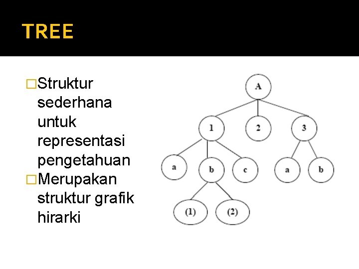 TREE �Struktur sederhana untuk representasi pengetahuan �Merupakan struktur grafik hirarki 