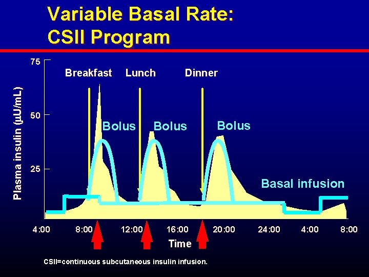 Variable Basal Rate: CSII Program 75 Plasma insulin ( U/m. L) Breakfast 50 Lunch