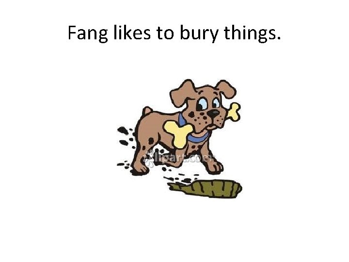 Fang likes to bury things. 