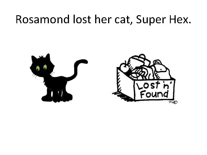 Rosamond lost her cat, Super Hex. 