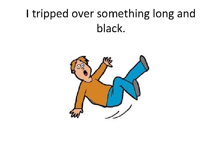 I tripped over something long and black. 