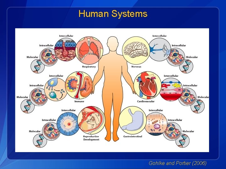 Human Systems Gohlke and Portier (2006) 