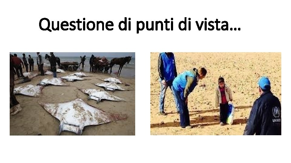 Questione di punti di vista… 