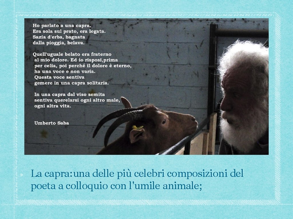La capra: una delle più celebri composizioni del poeta a colloquio con l'umile animale; La capra: una delle più celebri composizioni del poeta a colloquio con l'umile animale;