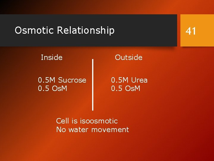 Osmotic Relationship Inside 0. 5 M Sucrose 0. 5 Os. M 41 Outside 0.