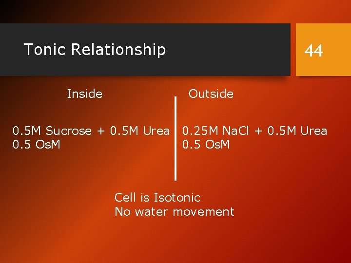 Tonic Relationship Inside 44 Outside 0. 5 M Sucrose + 0. 5 M Urea