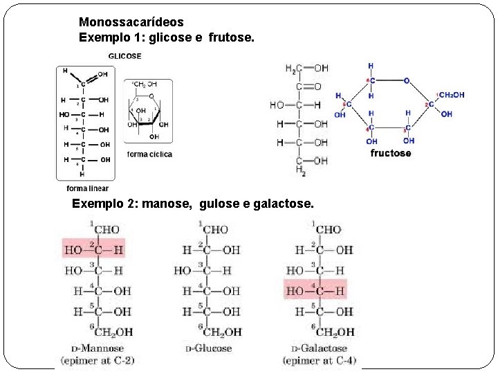 Monossacarídeos Exemplo 1: glicose e frutose. Exemplo 2: manose, gulose e galactose. 