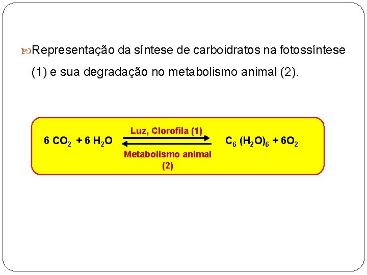  Representação da síntese de carboidratos na fotossíntese (1) e sua degradação no metabolismo