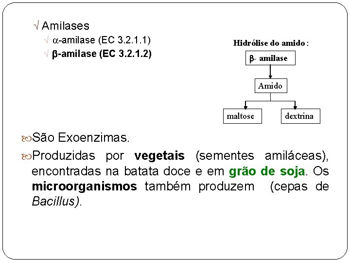 Ö Amilases Ö -amilase (EC 3. 2. 1. 1) Ö -amilase (EC 3. 2.