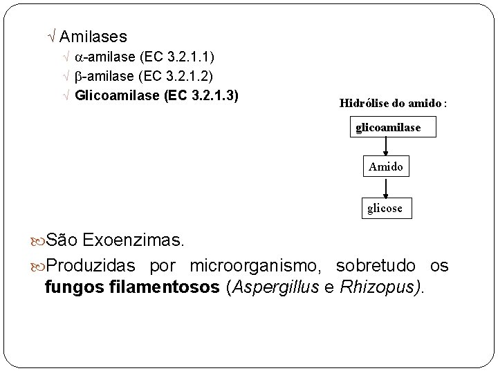 Ö Amilases Ö -amilase (EC 3. 2. 1. 1) Ö b-amilase (EC 3. 2.