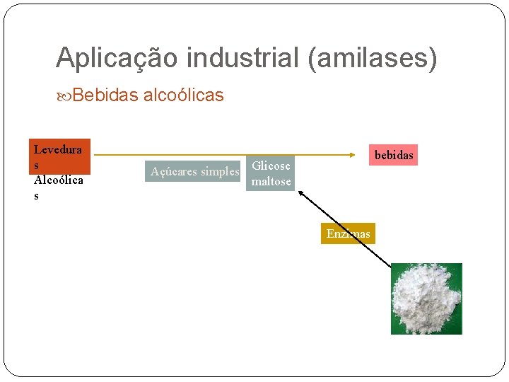 Aplicação industrial (amilases) Bebidas alcoólicas Levedura s Alcoólica s bebidas Açúcares simples Glicose maltose