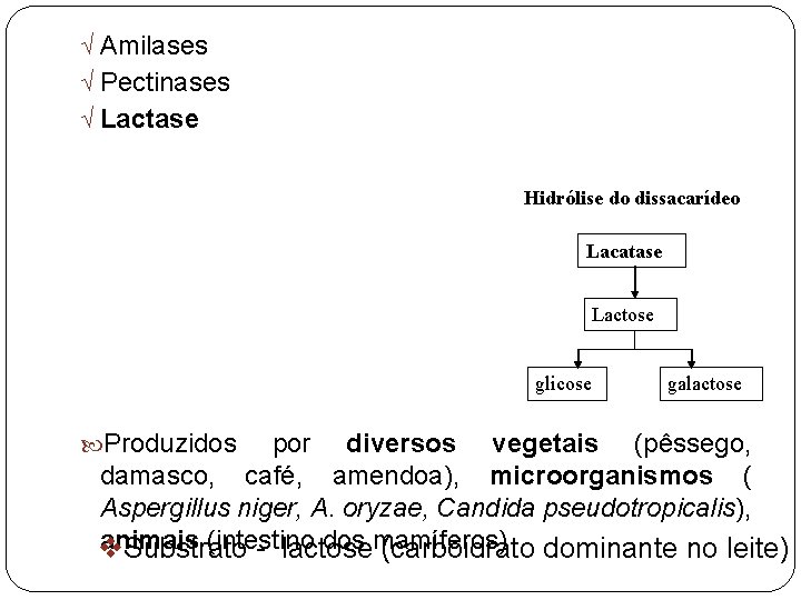 Ö Amilases Ö Pectinases Ö Lactase Hidrólise do dissacarídeo Lacatase Lactose glicose Produzidos galactose