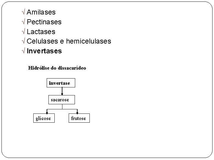 Ö Amilases Ö Pectinases Ö Lactases Ö Celulases e hemicelulases Ö Invertases Hidrólise do