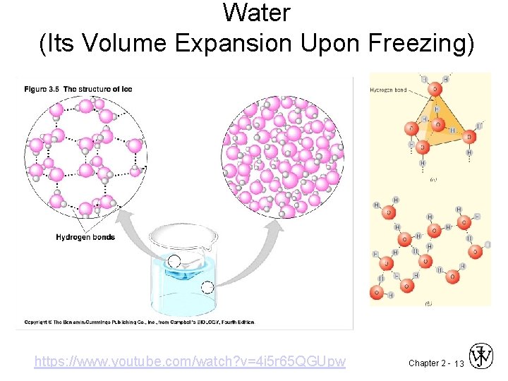 Water (Its Volume Expansion Upon Freezing) https: //www. youtube. com/watch? v=4 i 5 r