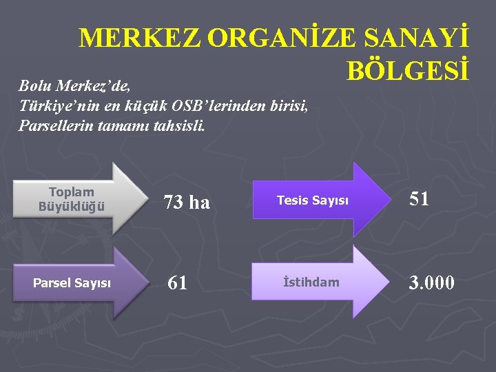 MERKEZ ORGANİZE SANAYİ BÖLGESİ Bolu Merkez’de, Türkiye’nin en küçük OSB’lerinden birisi, Parsellerin tamamı tahsisli.