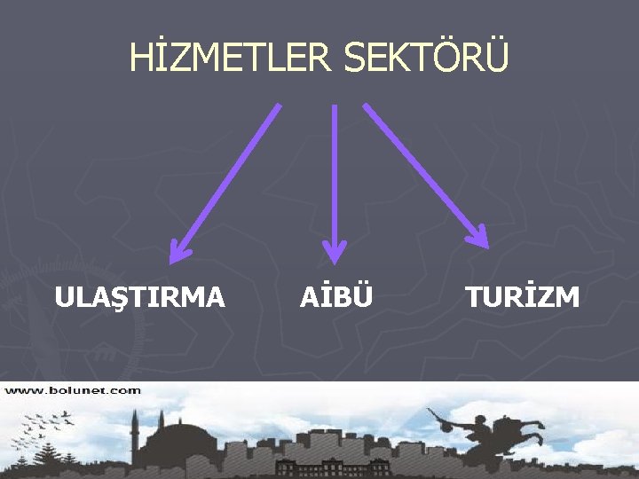 HİZMETLER SEKTÖRÜ ULAŞTIRMA AİBÜ TURİZM 