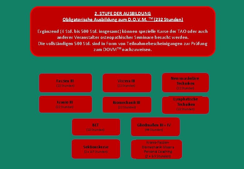 2. STUFE DER AUSBILDUNG Obligatorische Ausbildung zum D. O. V. M. TM (232 Stunden)