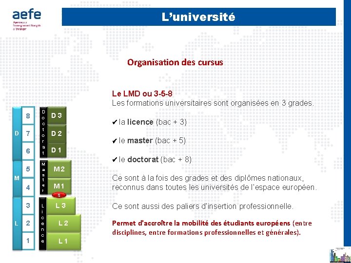 L’université Organisation des cursus Le LMD ou 3 -5 -8 Les formations universitaires sont