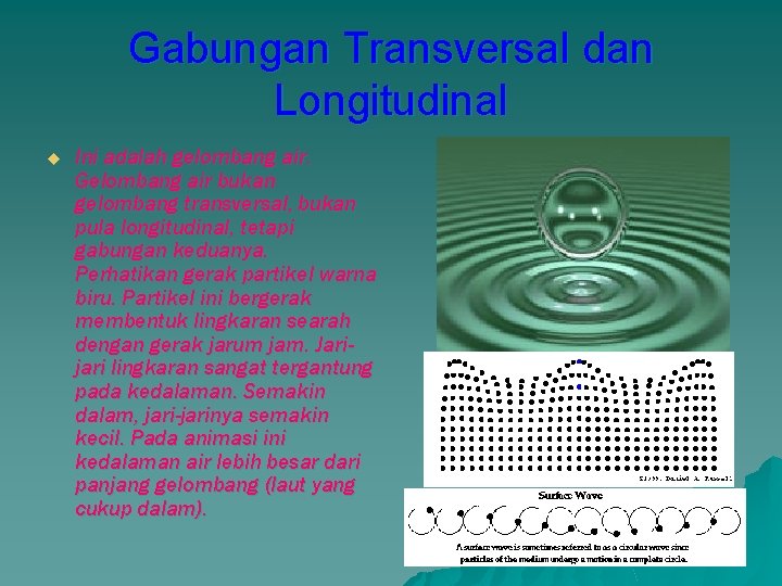 Gabungan Transversal dan Longitudinal u Ini adalah gelombang air. Gelombang air bukan gelombang transversal,