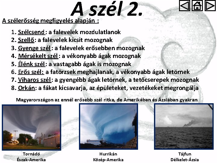 A szél 2. A szélerősség megfigyelés alapján : 1. Szélcsend : a falevelek mozdulatlanok