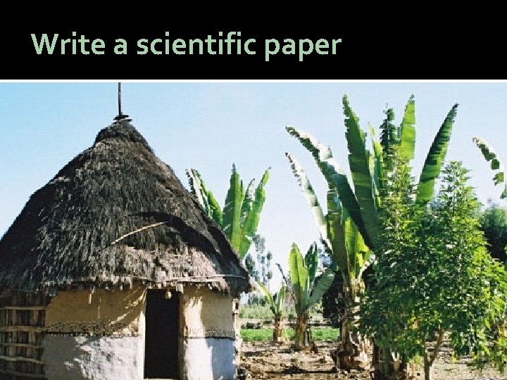 Write a scientific paper 