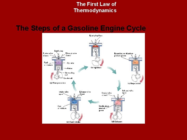 The First Law of Thermodynamics The Steps of a Gasoline Engine Cycle 