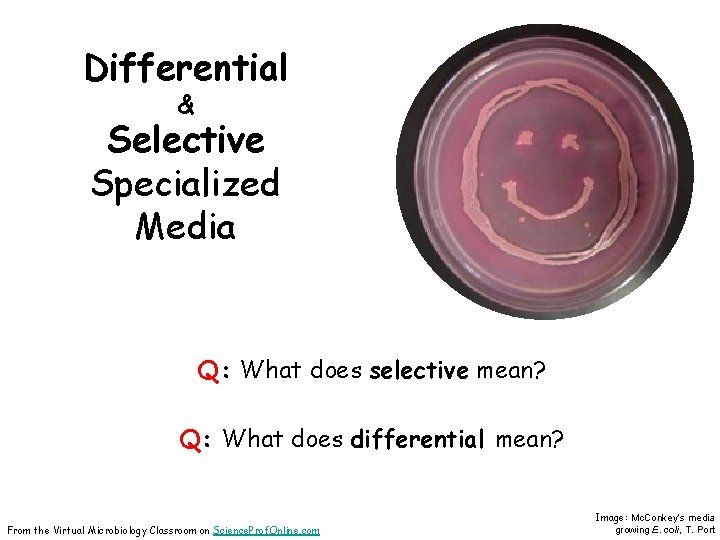 Differential & Selective Specialized Media Q: What does selective mean? Q: What does differential