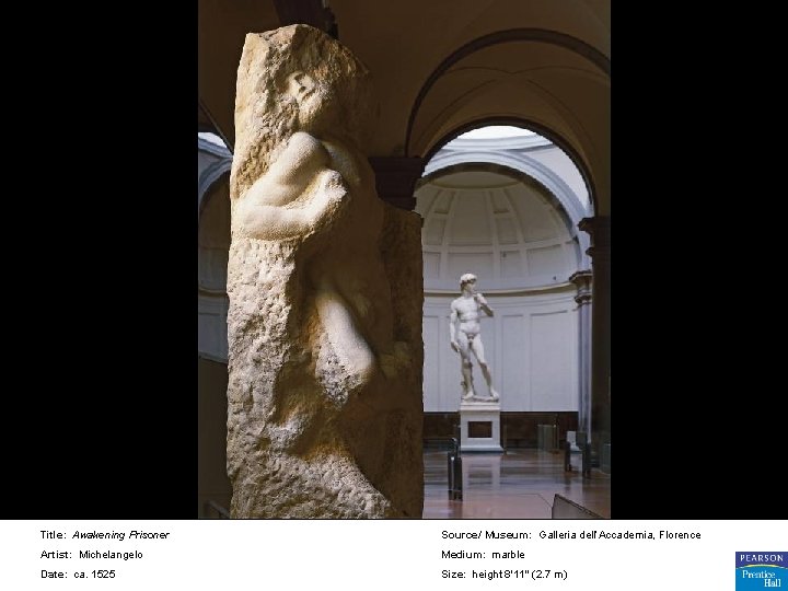 Title: Awakening Prisoner Source/ Museum: Galleria dell’Accademia, Florence Artist: Michelangelo Medium: marble Date: ca.