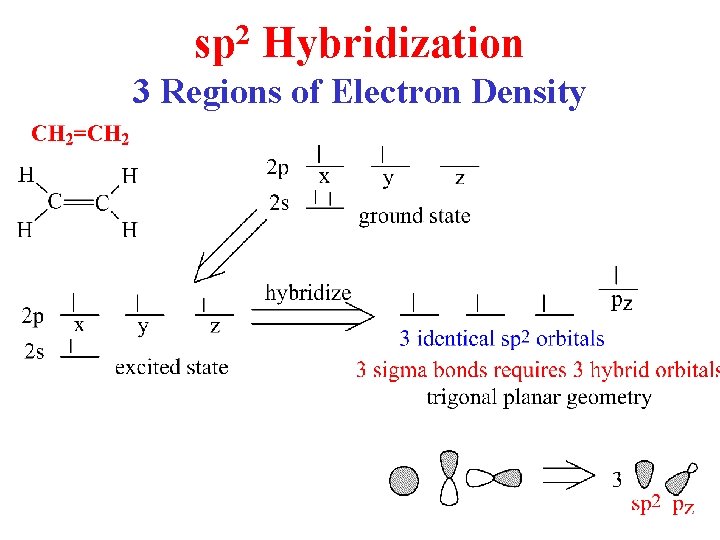 sp 2 Hybridization 3 Regions of Electron Density 