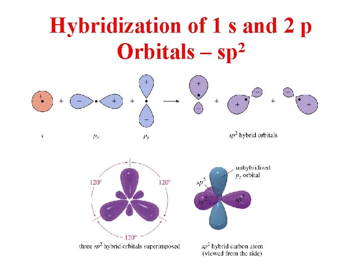 Hybridization of 1 s and 2 p Orbitals – sp 2 
