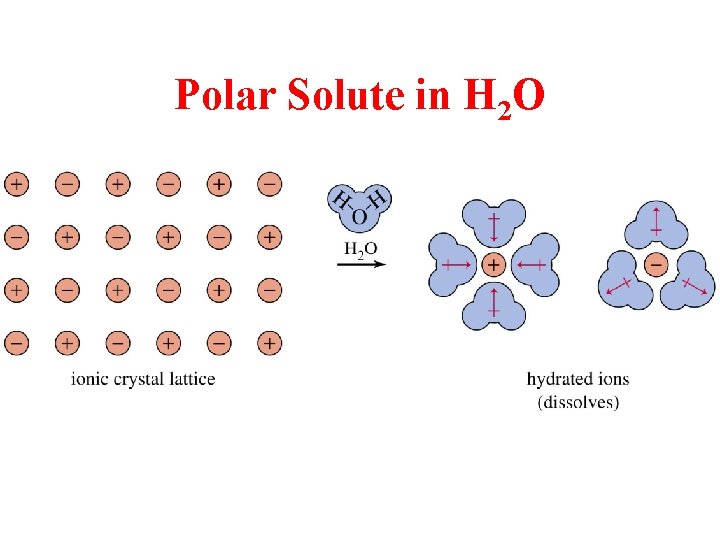 Polar Solute in H 2 O 