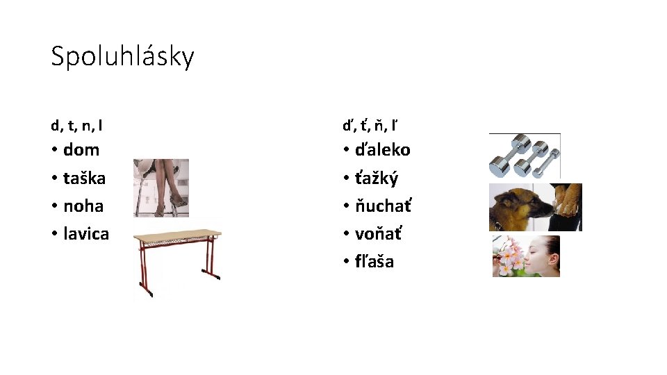 Spoluhlásky d, t, n, l ď, ť, ň, ľ • dom • taška •