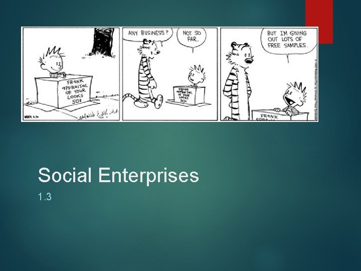 Social Enterprises 1. 3 