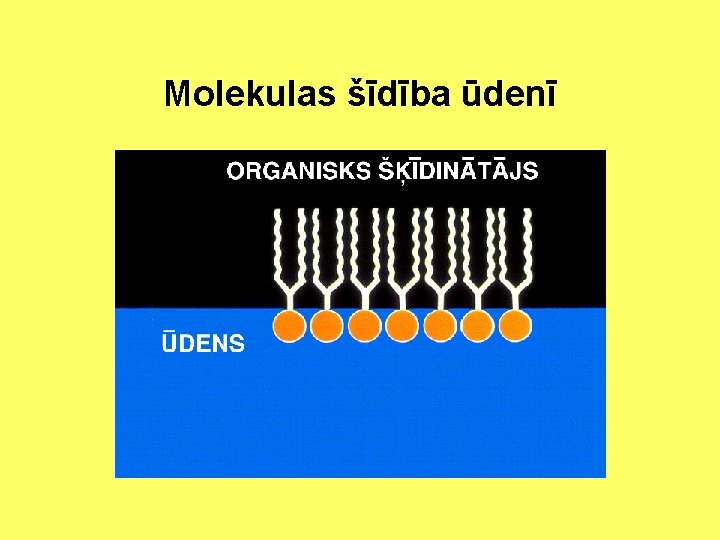 Molekulas šīdība ūdenī 