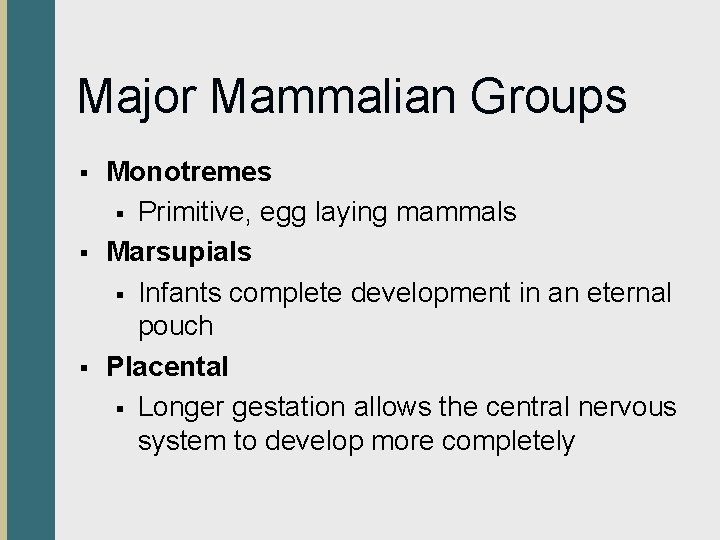 Major Mammalian Groups § § § Monotremes § Primitive, egg laying mammals Marsupials §