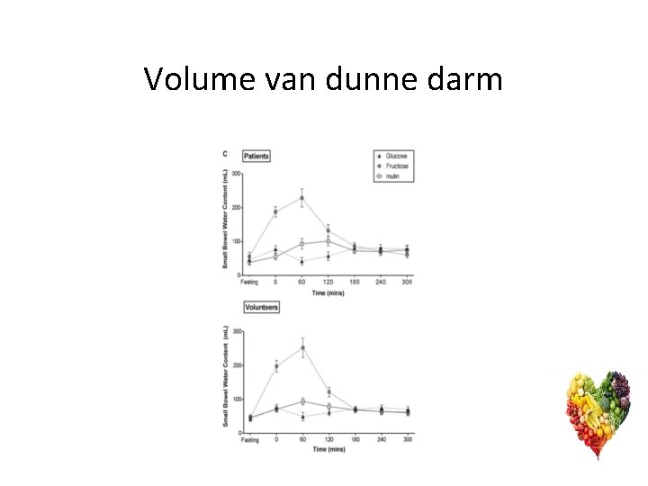 Volume van dunne darm 