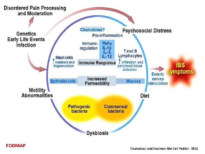 FODMAP Chumpitazi and Shulman Mol Cell Pediatr 2016 