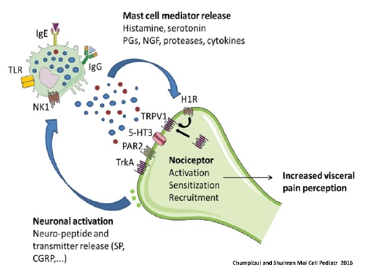 Chumpitazi and Shulman Mol Cell Pediatr 2016 