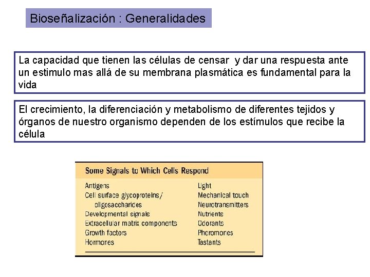 Bioseñalización : Generalidades La capacidad que tienen las células de censar y dar una