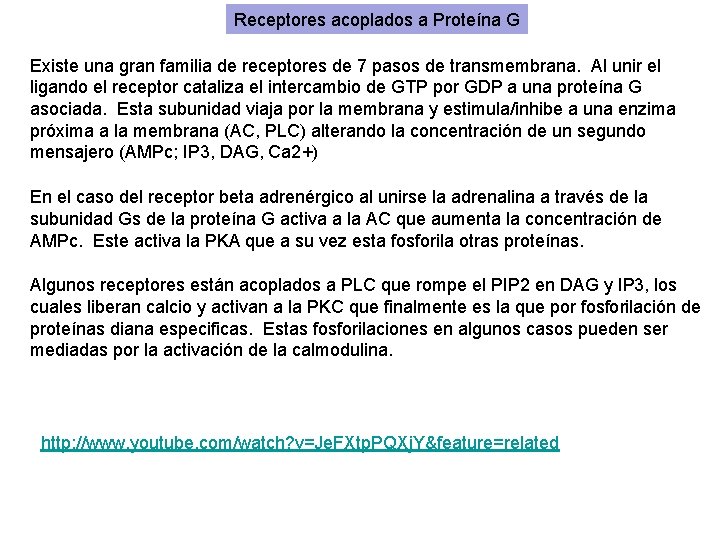 Receptores acoplados a Proteína G Existe una gran familia de receptores de 7 pasos