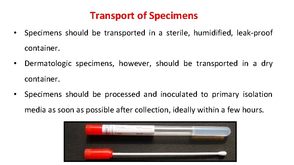 Transport of Specimens • Specimens should be transported in a sterile, humidified, leak-proof container.