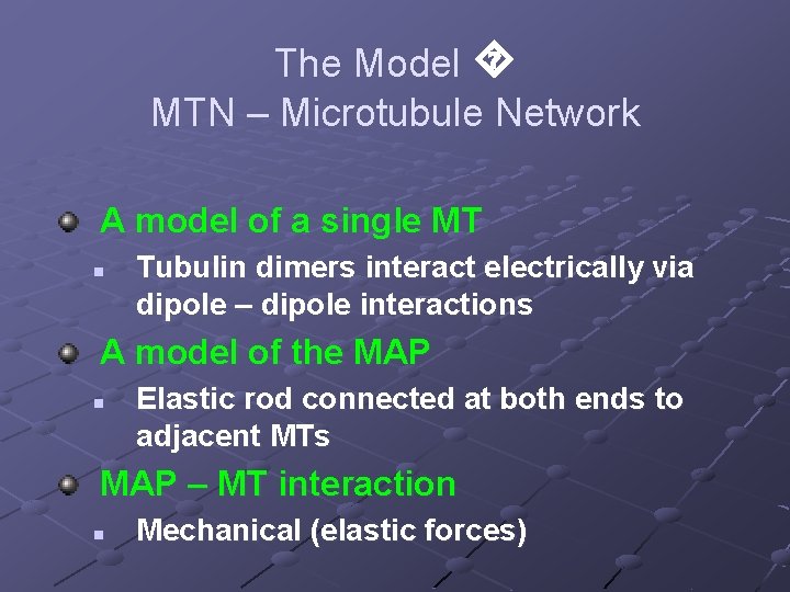 The Model MTN – Microtubule Network A model of a single MT n Tubulin
