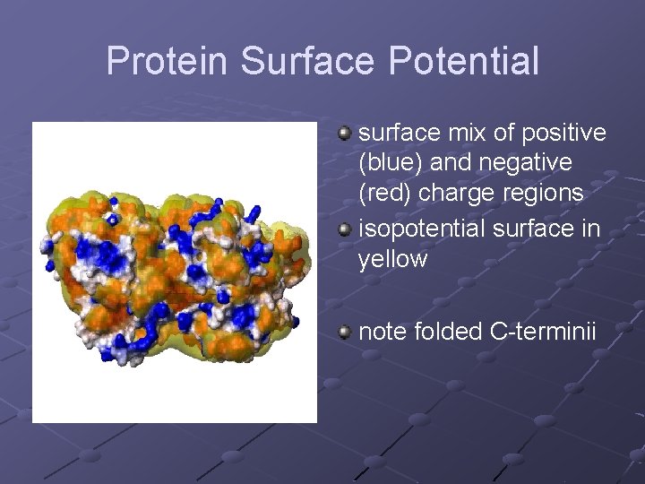 Protein Surface Potential surface mix of positive (blue) and negative (red) charge regions isopotential