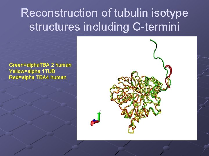 Reconstruction of tubulin isotype structures including C-termini Green=alpha. TBA 2 human Yellow=alpha 1 TUB
