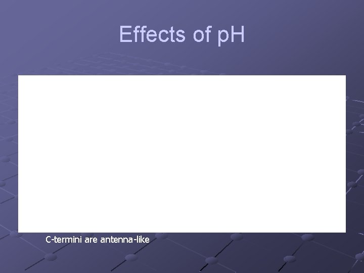 Effects of p. H C-termini are antenna-like 