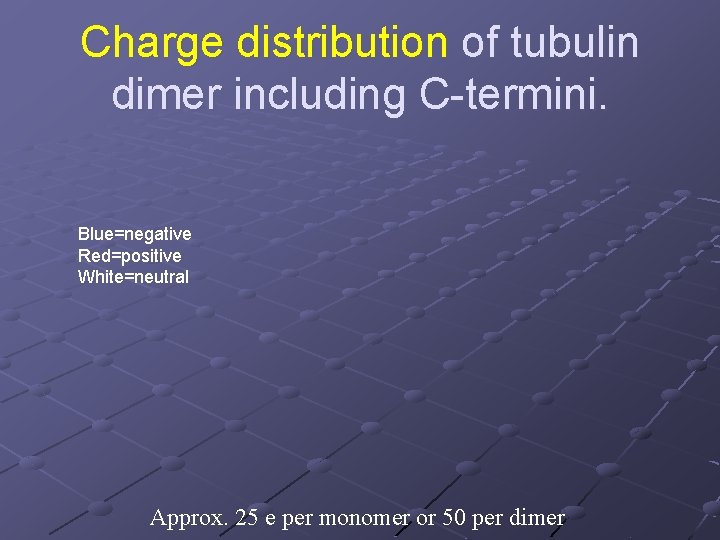 Charge distribution of tubulin dimer including C-termini. Blue=negative Red=positive White=neutral Approx. 25 e per